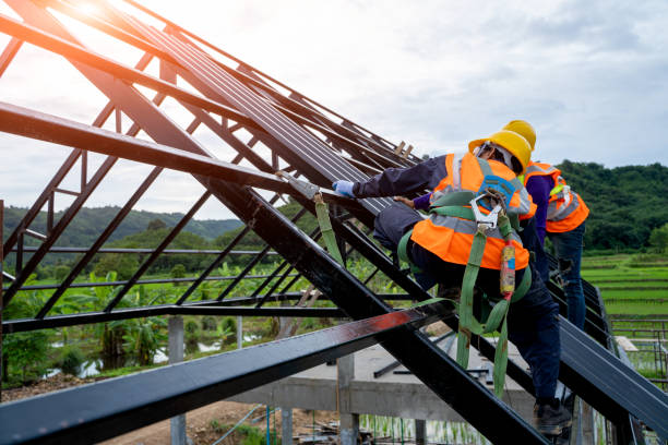 Best Roof Replacement Cost  in Luverne, AL