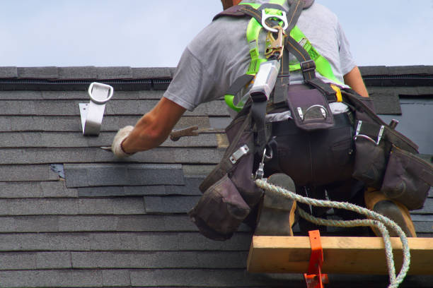 Best Roof Gutter Cleaning  in Luverne, AL