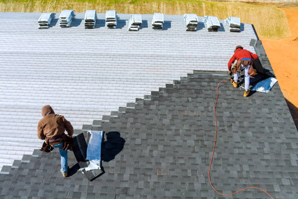Best Storm Damage Roof Repair  in Luverne, AL