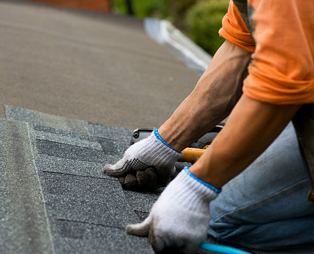 Best Roof Waterproofing Services  in Luverne, AL