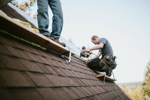 Quick and Trustworthy Emergency Roof Repair Services in Luverne, AL